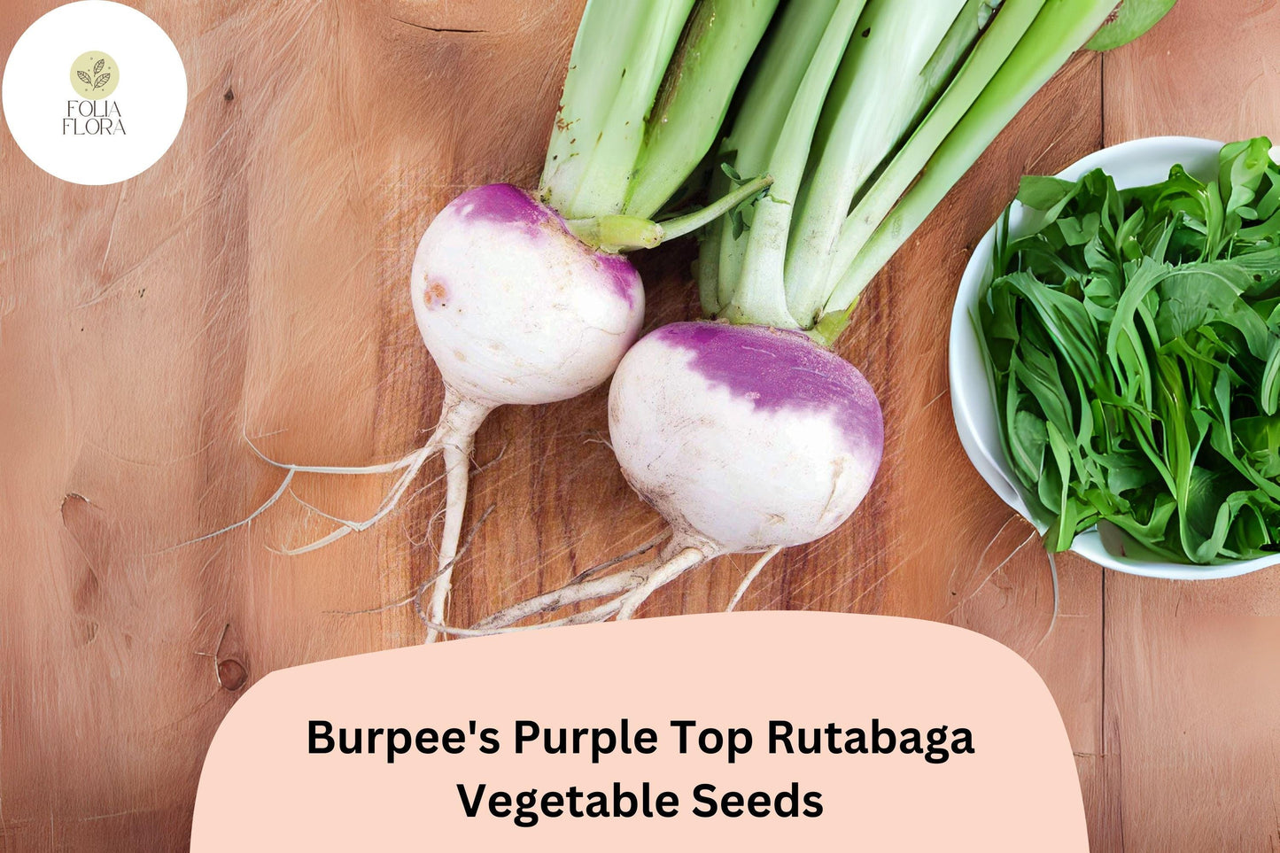 500+ Burpee’s Purple Top Rutabaga Seeds – Heirloom Brassica Seeds for Garden Planting