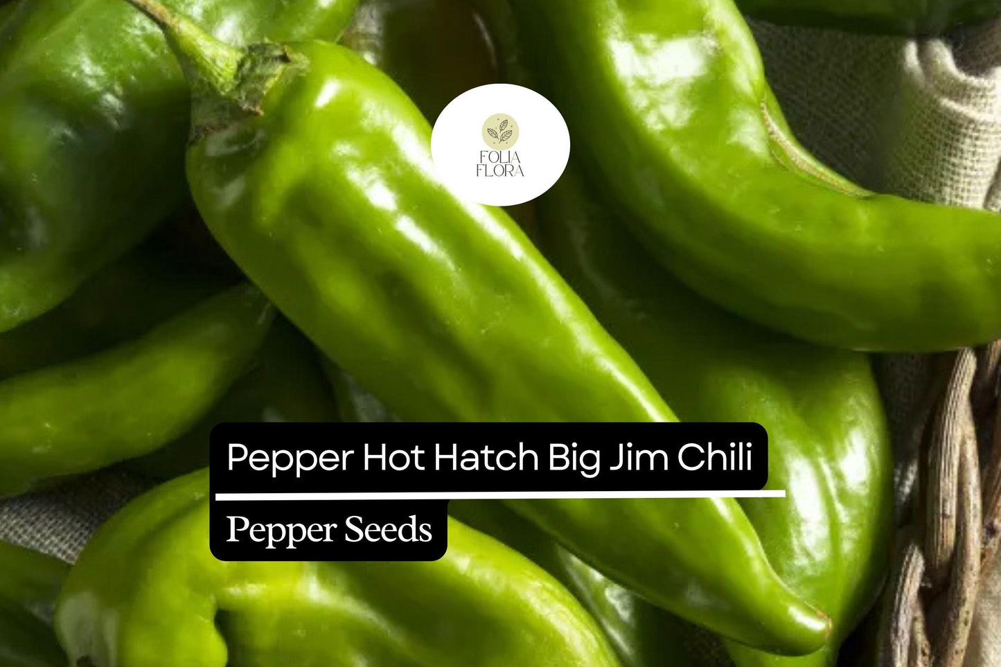 25 Hatch Big Jim Pepper Seeds – Capsicum annuum – Mild to Medium Heat, Heirloom, Non-GMO, Perfect for Roasting