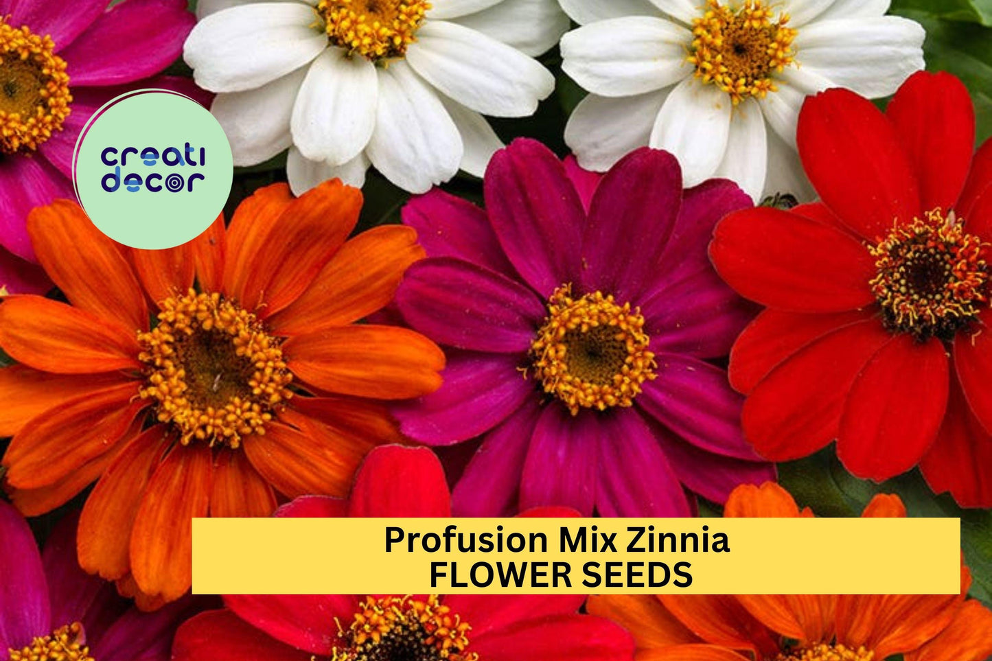 100+ Profusion Mix Zinnia Seeds – Bright Blooming Annuals for Garden Planting, Heat-Tolerant Flower Mix for Beds & Borders – USA