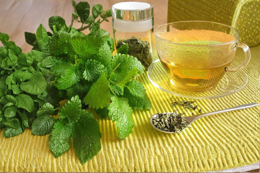 Lemon Balm Seeds – Melissa officinalis | 100 Seeds | Aromatic Medicinal Herb for Tea & Herbal Gardens