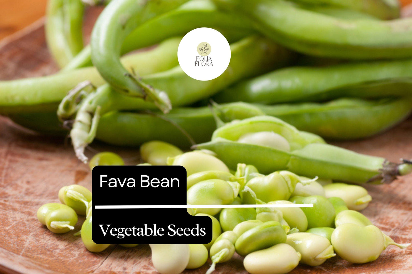 5g Fava Bean Seeds Vicia faba | Heirloom Broad Beans for Planting | Nutritious Cool-Season Vegetable