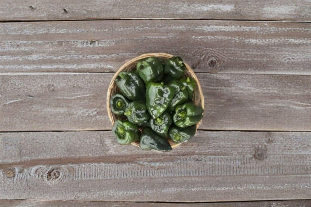 Ancho Poblano – Hot Pepper 25 Seeds | Classic Mexican Chili | Mild–Medium Heat | Perfect for Stuffing & Drying