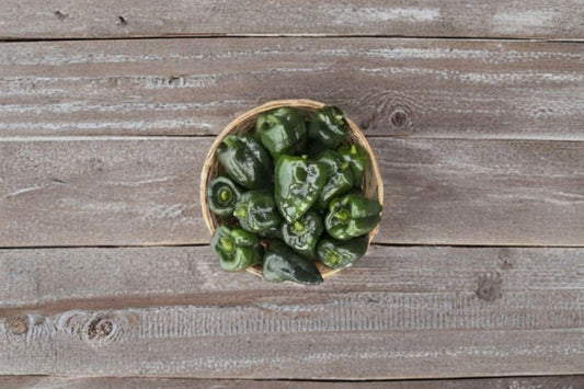 Ancho Poblano – Hot Pepper 25 Seeds | Classic Mexican Chili | Mild–Medium Heat | Perfect for Stuffing & Drying