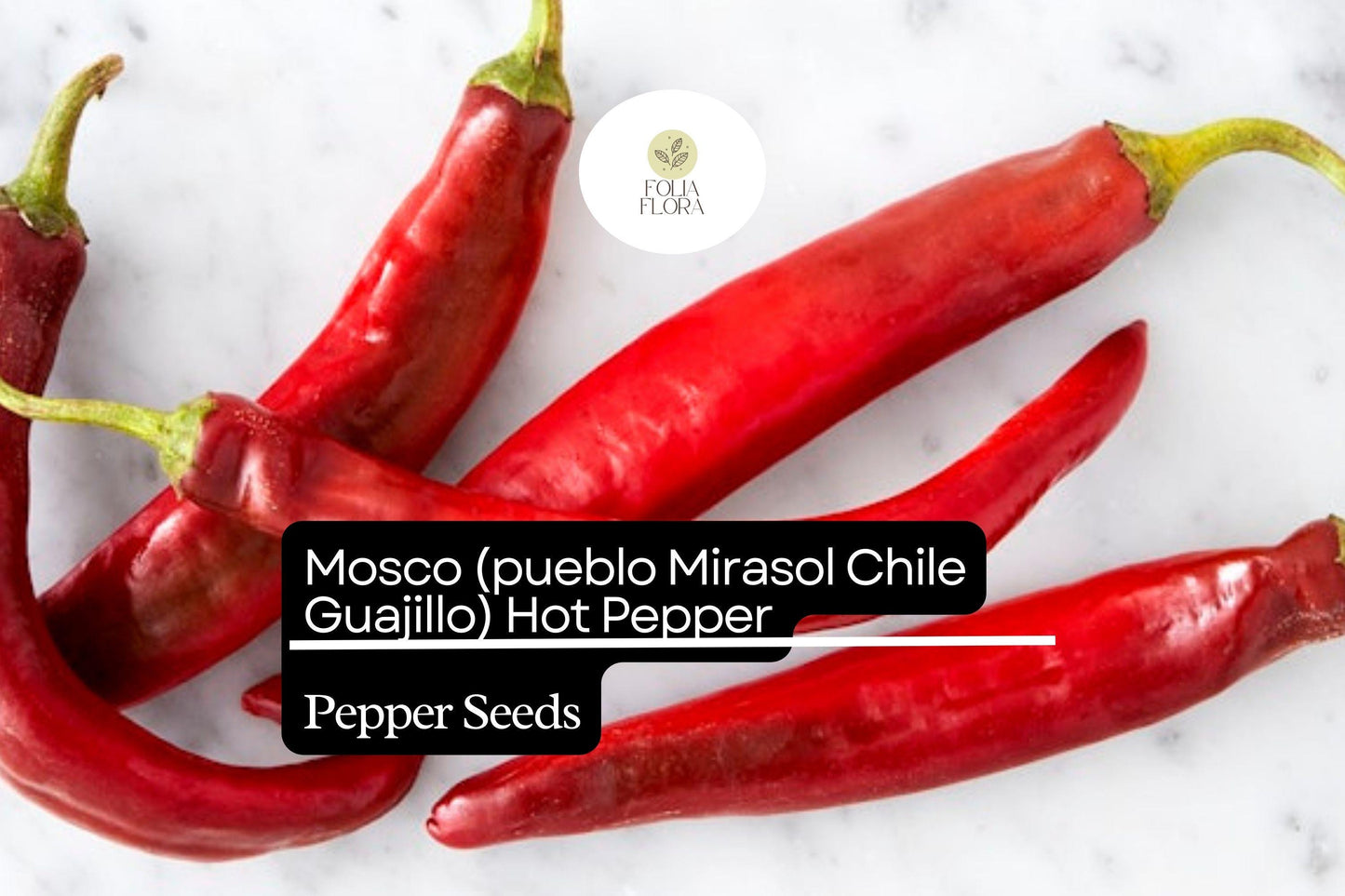 250mg Mosco Pueblo Mirasol Chile Guajillo Hot Pepper Seeds Capsicum annuum | Bold Flavor, High Yield, Non-GMO for Salsas & Drying