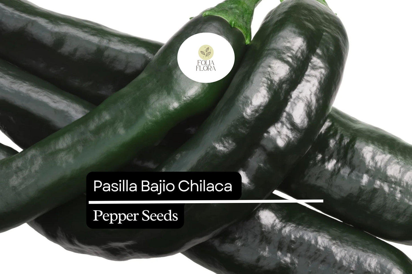 25 Seeds Pasilla Bajio Chilaca Pepper – Capsicum annuum, Mild & Smoky Mexican Chile