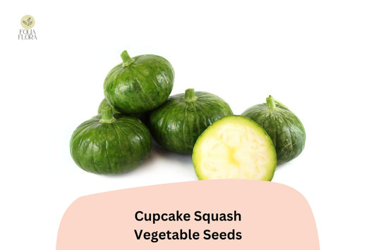 25+ Cupcake Squash Seeds for Planting | Unique Edible Patty Pan Zucchini | Easy-Grow Summer Squash for Grilling & Stuffing