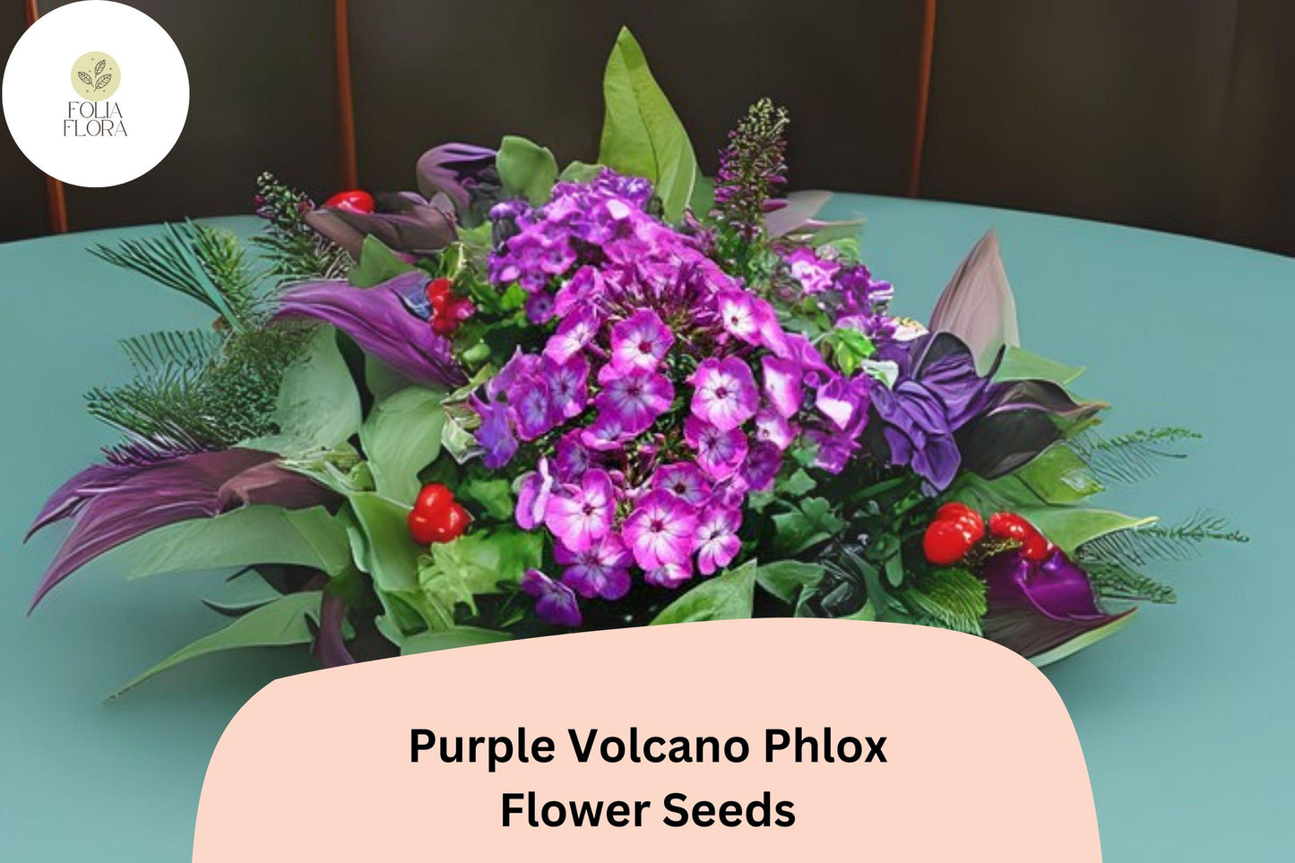 100+ Purple Volcano Phlox Seeds for Planting | Phlox drummondii Annual Flower Seeds | Deep Purple Blooms for Beds & Containers