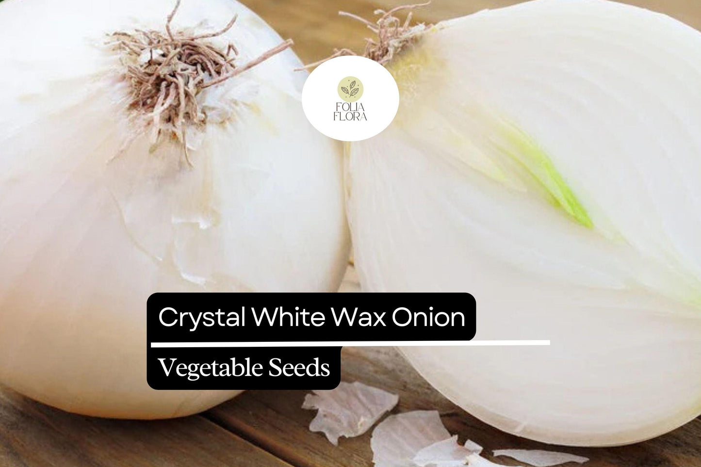 200 Seeds Crystal White Wax Onion, Allium Cepa, Mild & Sweet Pearl Onion Variety