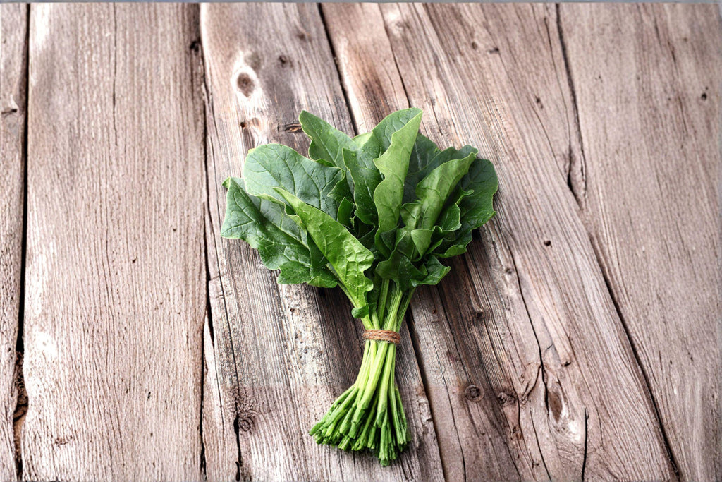 Spinach – Bloomsdale Long Standing 100 Seeds | Heirloom Spinach | Savoyed Leaves | Slow to Bolt