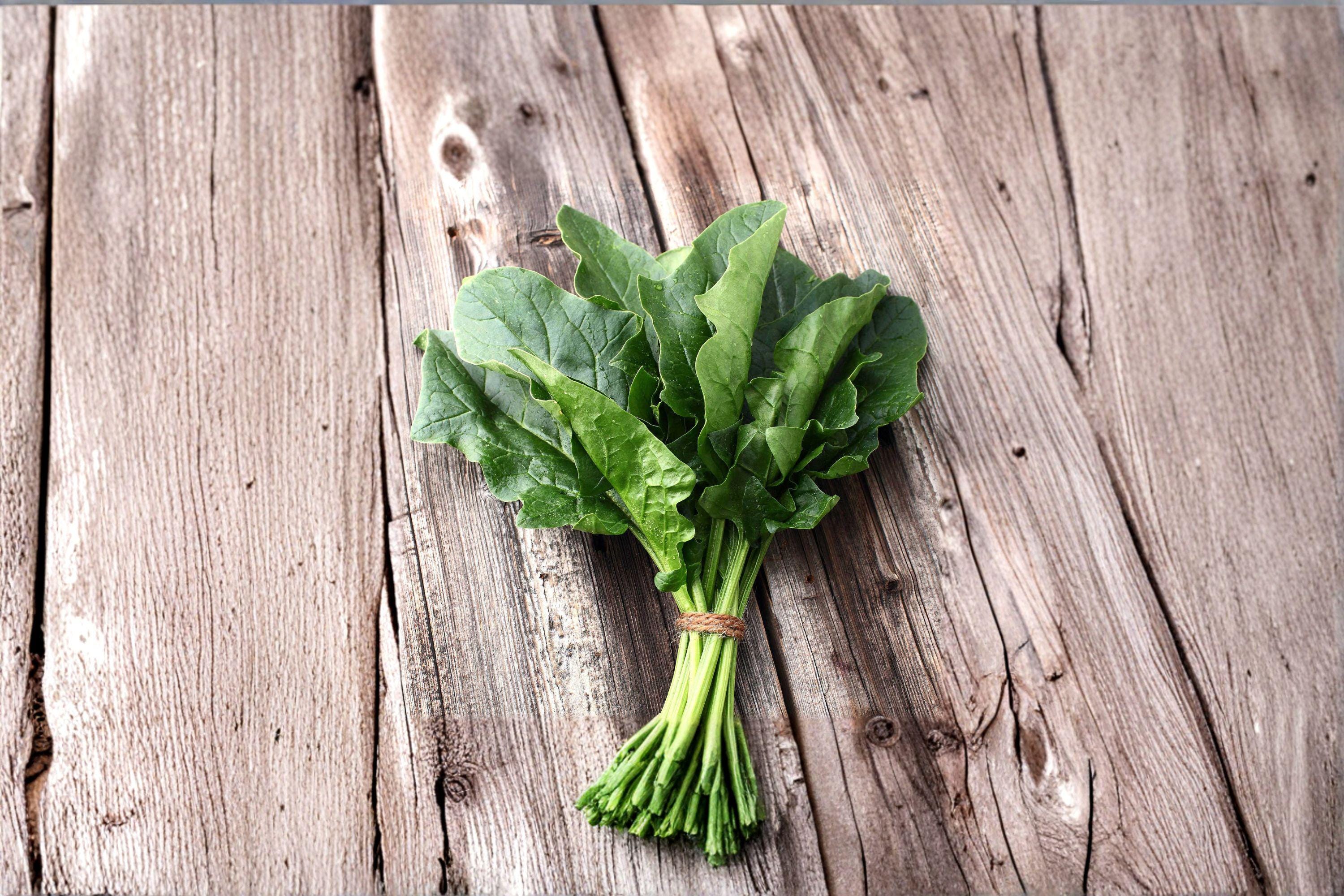 Spinach – Bloomsdale Long Standing 100 Seeds | Heirloom Spinach | Savoyed Leaves | Slow to Bolt