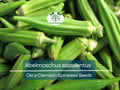 85 Seeds Okra Clemson Spineless for Planting (Abelmoschus esculentus) - Fast-Growing, Tender, Spineless Okra for Home Gardens