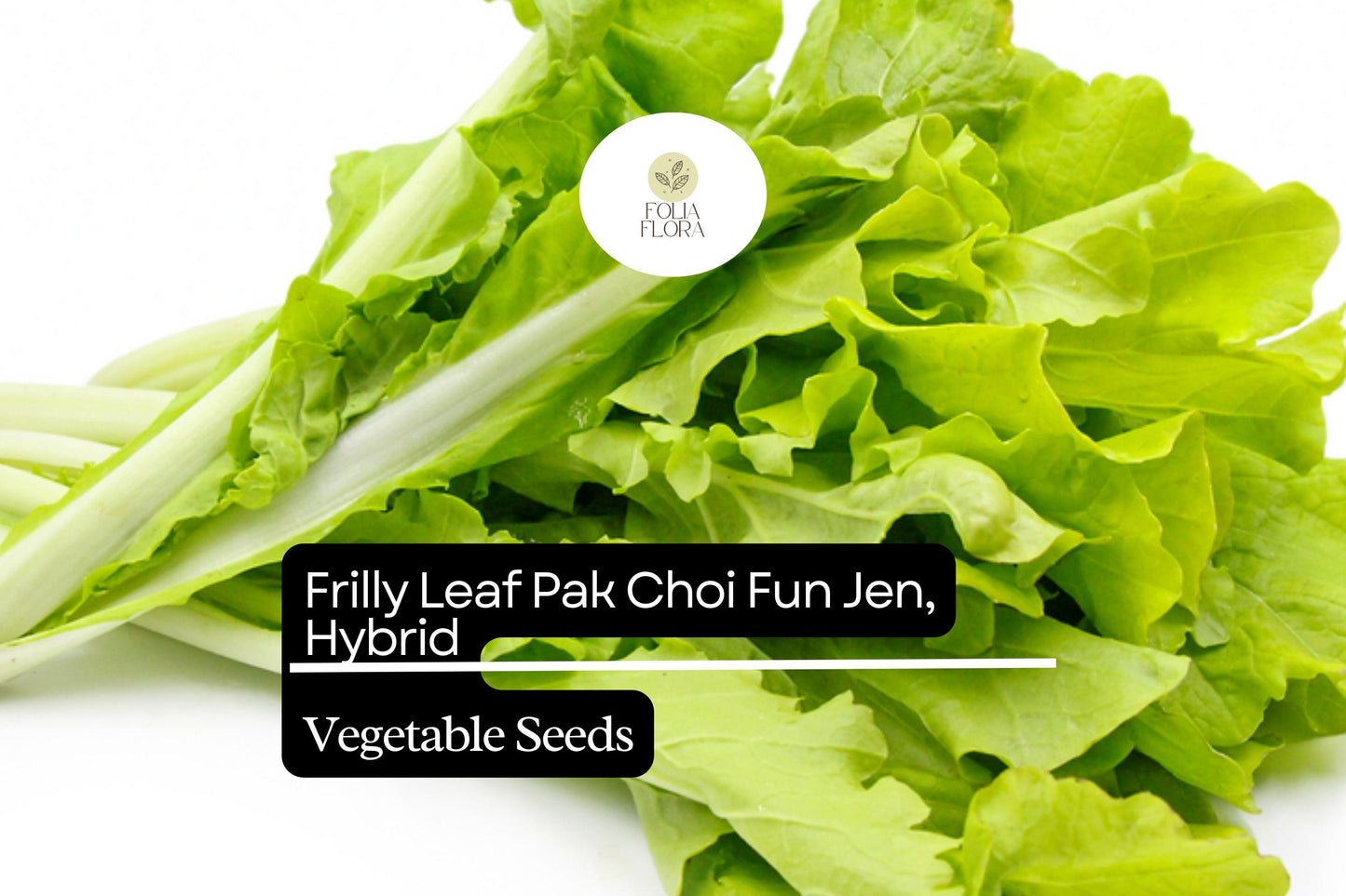 500mg Frilly Leaf Pak Choi Fun Jen Seeds Hybrid Brassica rapa | Unique, Non-GMO, Crisp & Tender Asian Greens, Easy to Grow Vegetable