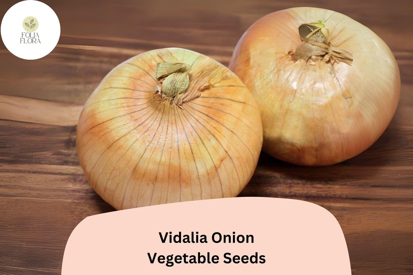 500+ Vidalia Onion Seeds | Sweet Onion Variety | Garden Planting | Large Bulbs | Mild Flavor & Cooking