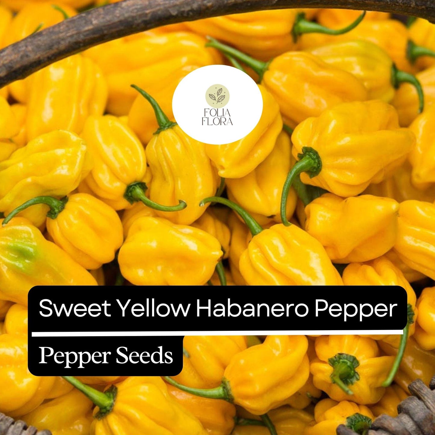 20 Sweet Yellow Habanero Pepper Seeds – Heirloom, Non-GMO, No Heat, Fruity Flavor