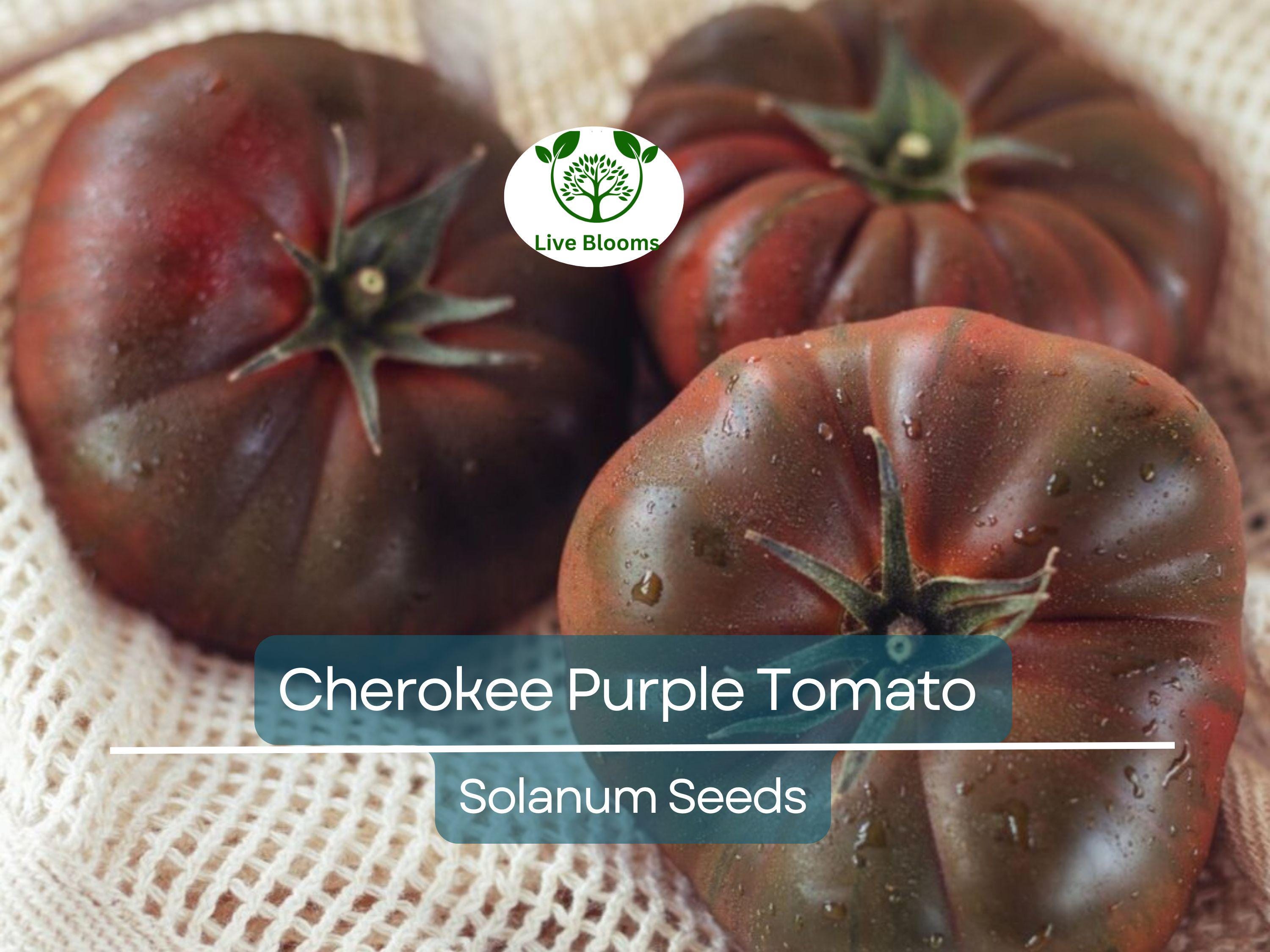 60 Cherokee Purple Tomato Seeds – Heirloom Beefsteak, Solanum lycopersicum, Non-GMO, Indeterminate, Rich Flavor, Garden Favorite