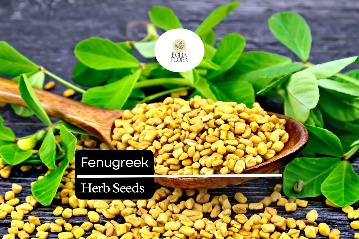 100 Fenugreek Herb Seeds – Trigonella foenum-graecum – Aromatic Culinary Herb, Fast-Growing, Non-GMO, Easy to Grow