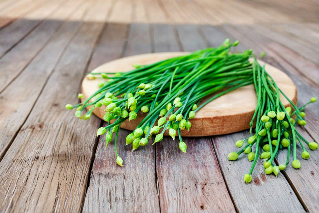 Garlic Chives 100 Seeds | Asian Culinary Herb | Mild Garlic Flavor | Hardy Perennial