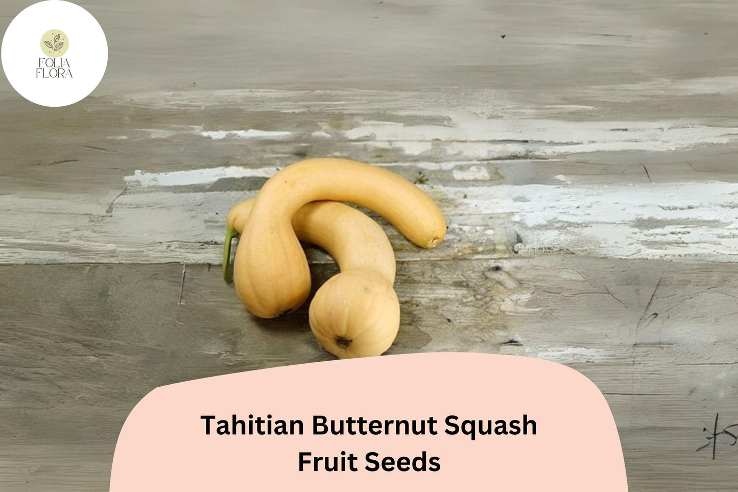 25+ Tahitian Butternut Squash Seeds | Heirloom Winter Squash | Sweet, Long-Necked Variety for Baking, Roasting & Storage