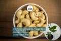 Cashew Nut Tree 12"-18" - Live Anacardium occidentale Tree | Tropical Nut & Fruit Tree for Gardens | Starter Plant