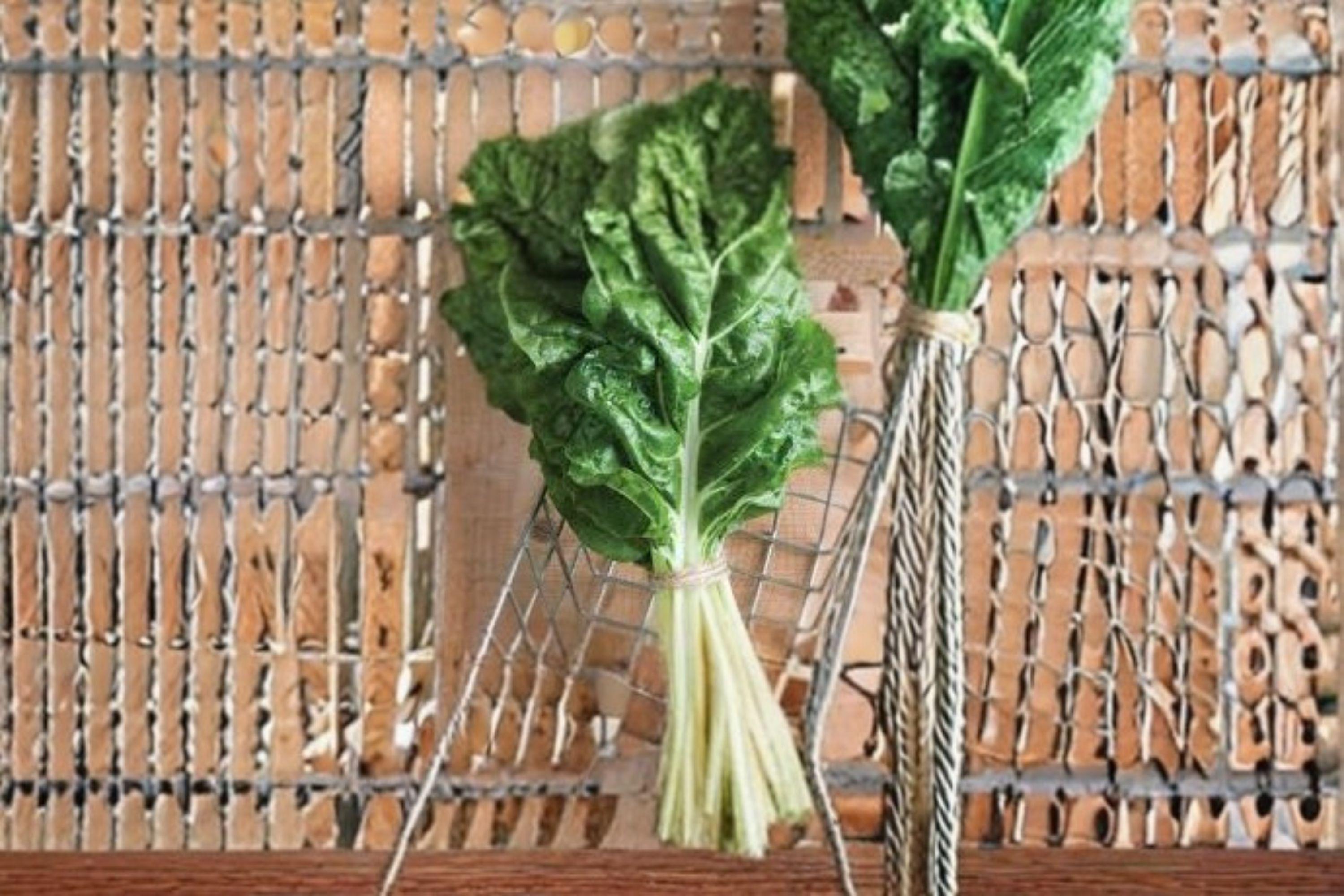 Swiss Chard – Fordhook 30 Seeds | Classic Heirloom Chard | Broad White Stems | Heat & Cold Tolerant