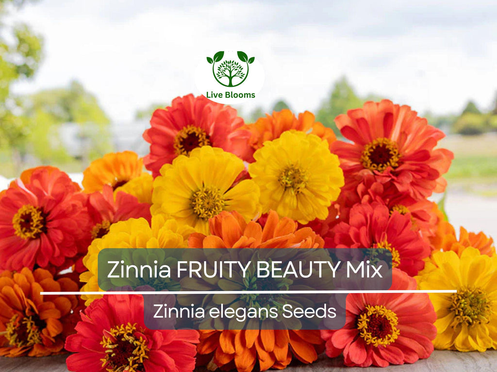 200 Seeds Zinnia FRUITY BEAUTY Mix, Non-GMO, Attracts Hummingbirds & Butterflies, Vibrant Garden Blooms, Easy to Grow Annual Flowers