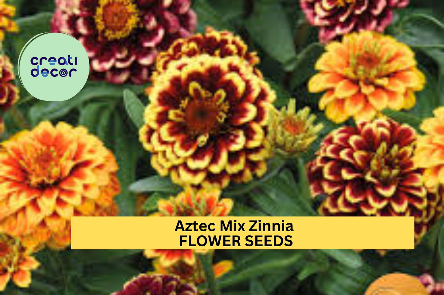 100+ Aztec Mix Zinnia Seeds – Vibrant Multi-Color Blooms for Garden Planting, Heat-Tolerant Flowers for Beds & Pollinators – USA