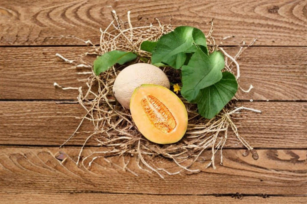 Hales Best Jumbo Melon 35 Seeds | Classic Heirloom Cantaloupe | Sweet Orange Flesh | Reliable Summer Producer