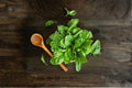 Large Leaf Sorrel – Herb 100 Seeds | Perennial Culinary Green | Tangy Lemon Flavor | Easy & Productive