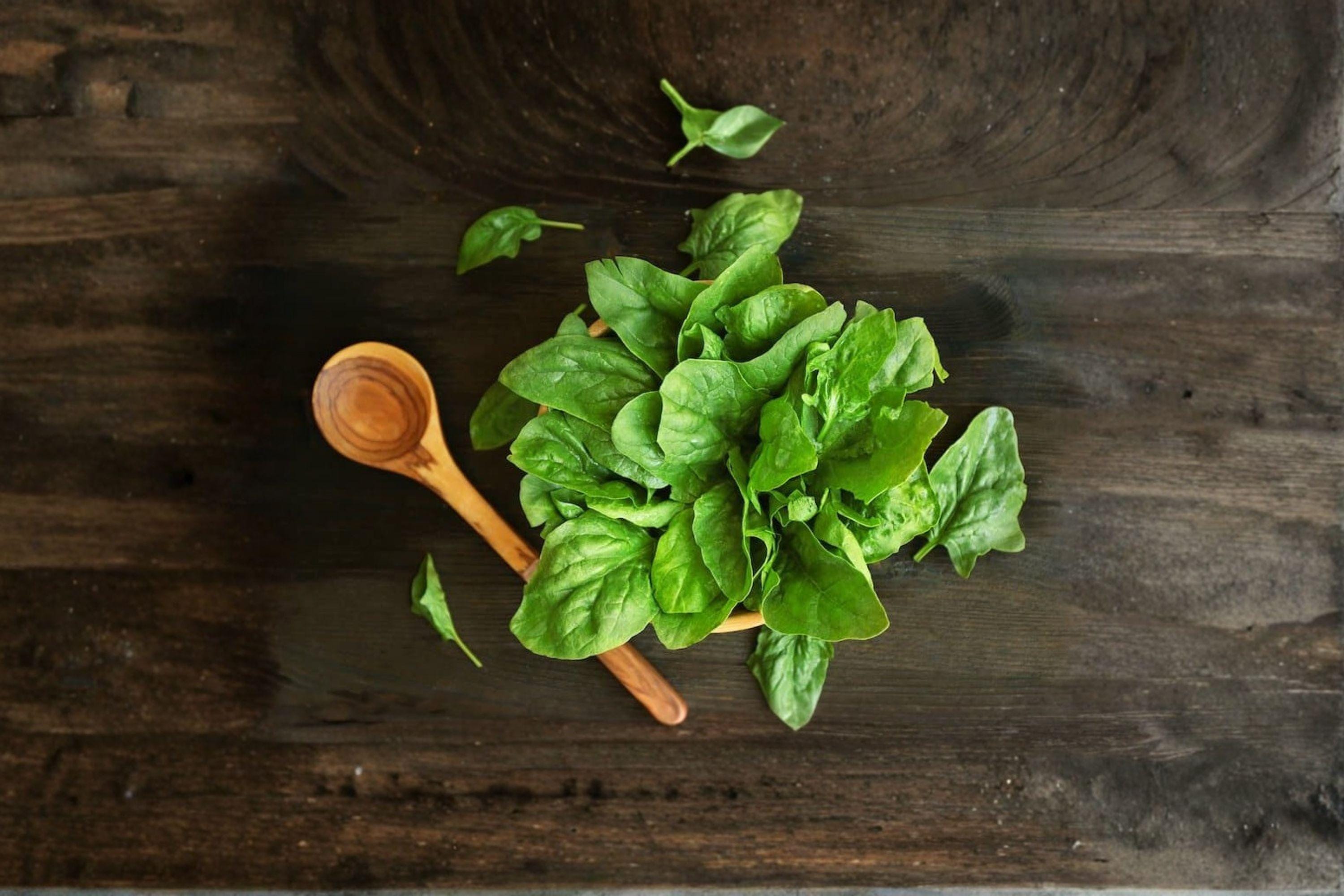 Large Leaf Sorrel – Herb 100 Seeds | Perennial Culinary Green | Tangy Lemon Flavor | Easy & Productive
