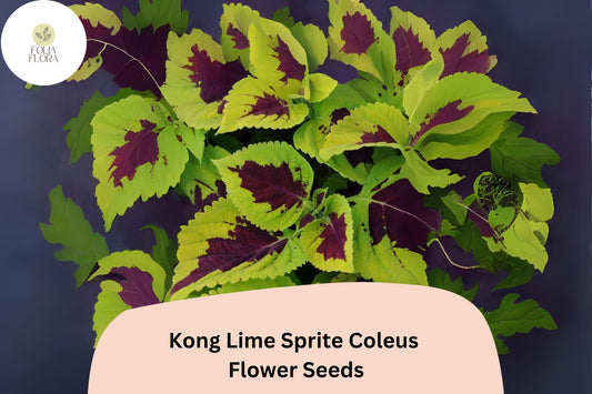 25+ Kong Lime Sprite Coleus Seeds for Planting | Large Shade Plant | Lime Green Red Foliage Annual | Garden Bedding Seeds