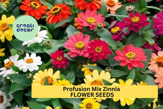 100+ Profusion Mix Zinnia Seeds – Bright Blooming Annuals for Garden Planting, Heat-Tolerant Flower Mix for Beds & Borders – USA