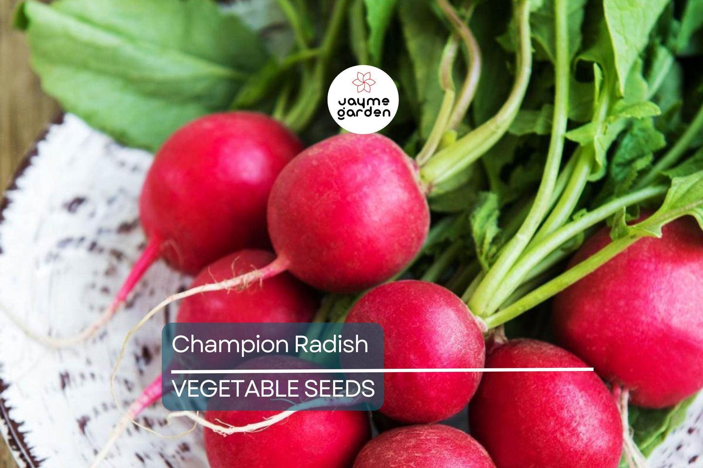 300 Champion Radish Seeds - Heirloom, Non-GMO, 1-2" Round Radishes, 6-8" Tall, Fast-Growing, USA Seller