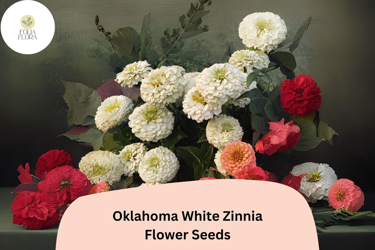 100+ Oklahoma White Zinnia Seeds – Long-Lasting Pure White Blooms, Cut Flower Garden Annuals