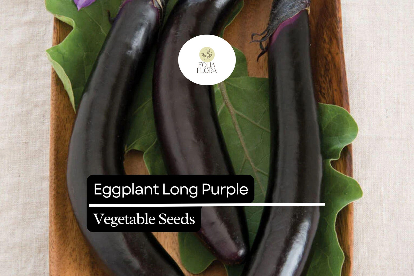 150 Long Purple Eggplant Seeds – Solanum melongena – Heirloom, Mild & Tender, High-Yielding