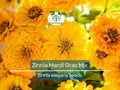 200 Zinnia Mardi Gras Mix Seeds - Vibrant Flowers for Pollinators & Butterflies | Zinnia elegans, Non-GMO, Easy Annual Blooms