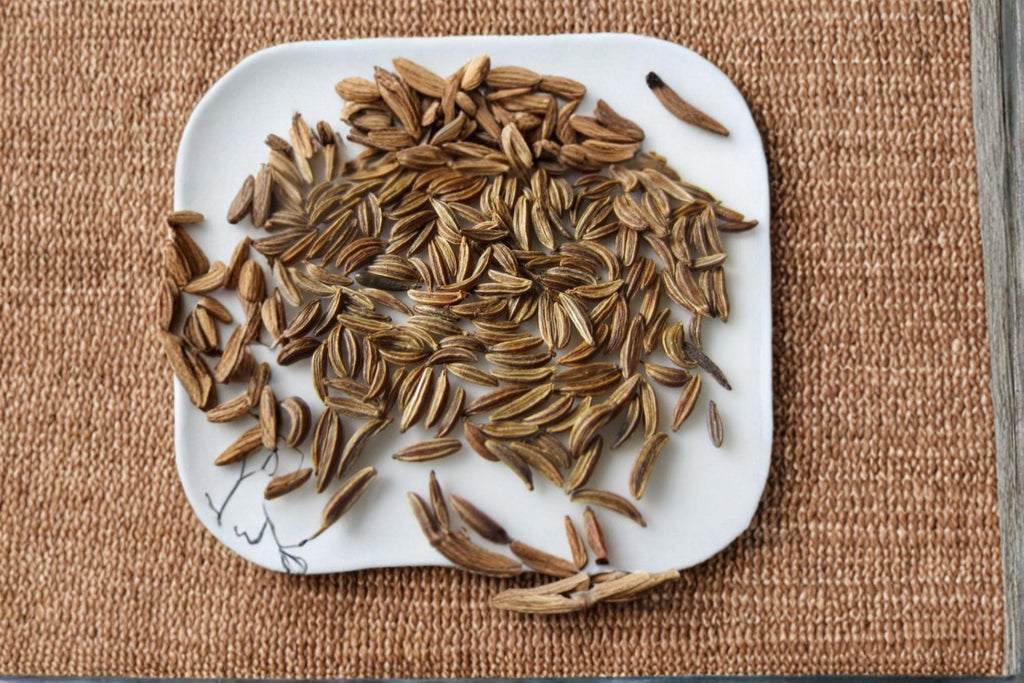 Caraway 300 Seeds | Traditional Culinary Spice | Aromatic Seeds | Hardy Biennial Herb