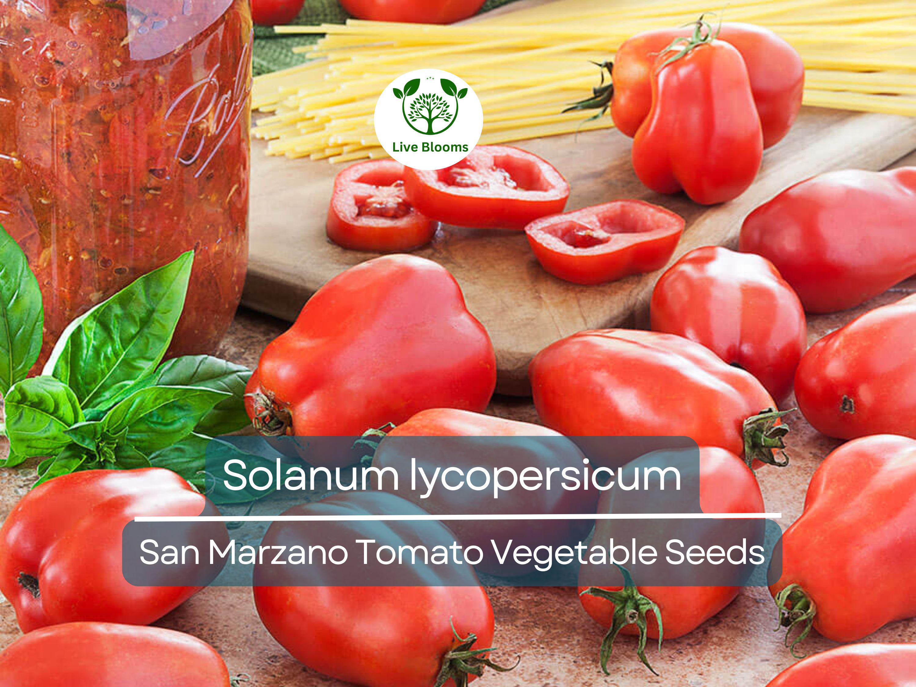 100 mg San Marzano Tomato Seeds - Solanum lycopersicum | Heirloom Italian Paste Tomato for Planting, Gardening & Sauces