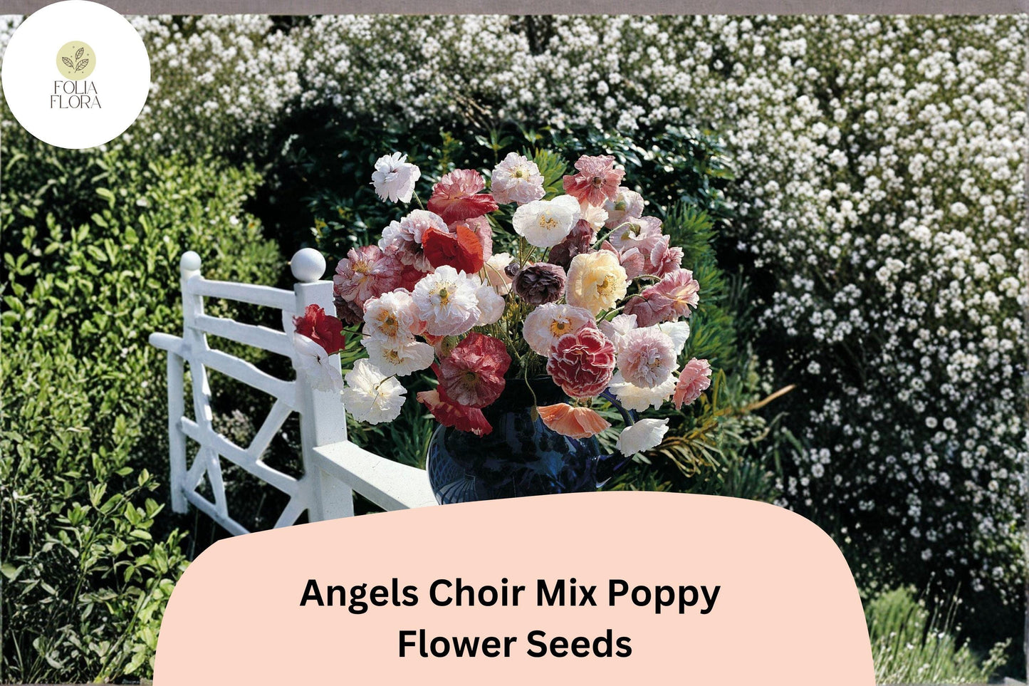 200+ Angels Choir Mix Poppy Seeds | Papaver | Vibrant Garden Blooms | Easy-to-Grow Annual Flower Seeds for Beds & Pots