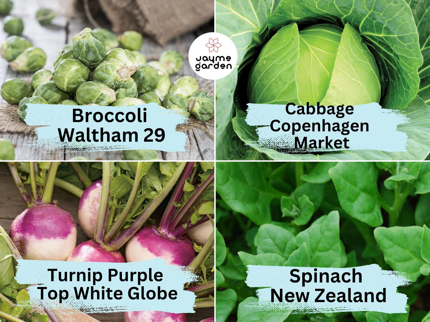 16 Vegetable & Herb Seeds Variety Pack - Heirloom Non-GMO (1g Each) - Kale, Basil, Broccoli, Dill, Pak Choi, And More for Gardening
