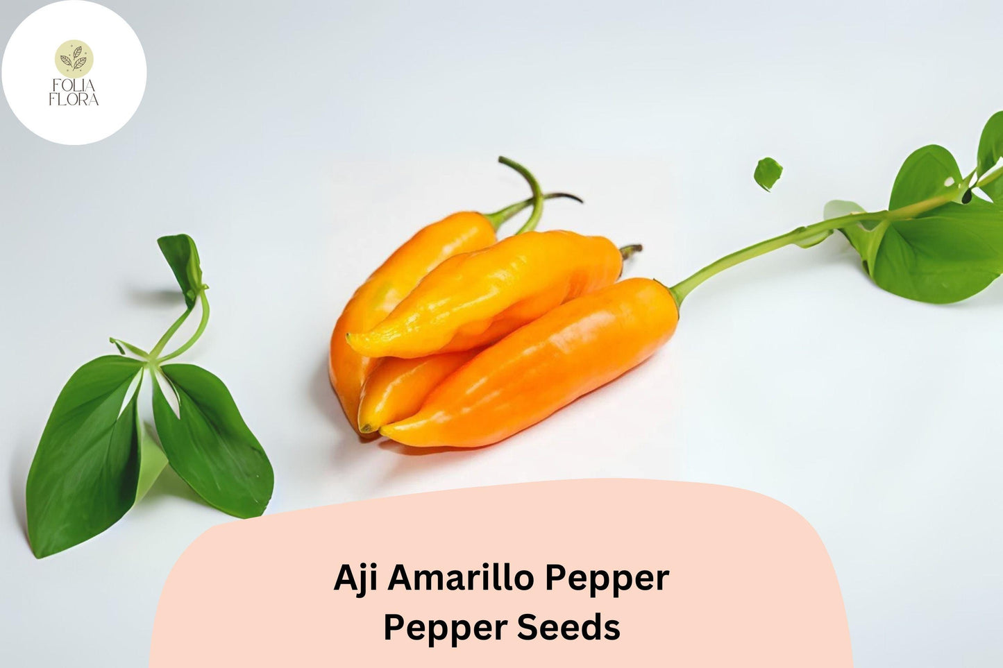 25+ Aji Amarillo Pepper Seeds | Peruvian Heirloom Chili | Medium-Hot Yellow Peppers for Spicy Garden Planting