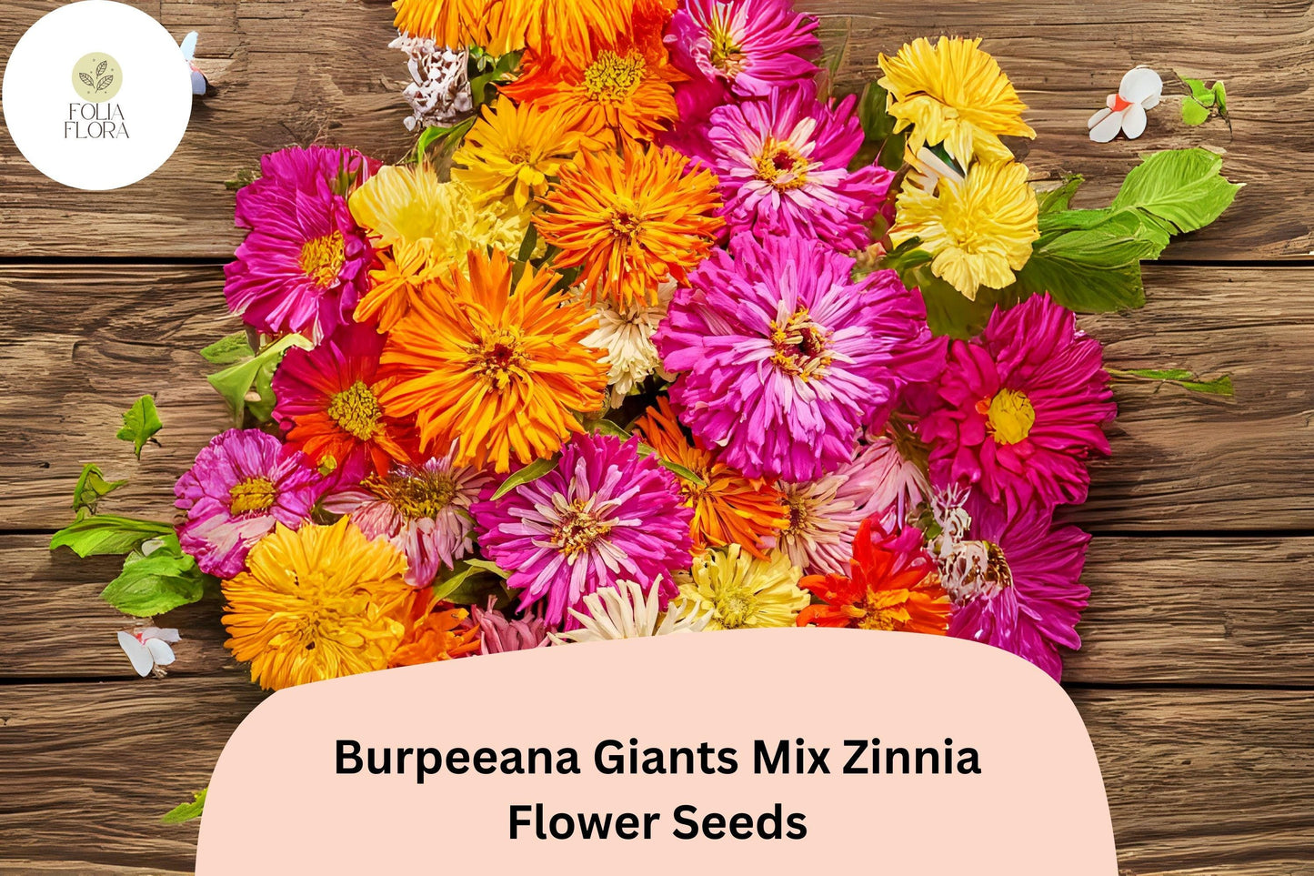 100+ Burpeeana Giants Mix Zinnia Seeds – Tall Heirloom Blooms for Cutting & Summer Gardens
