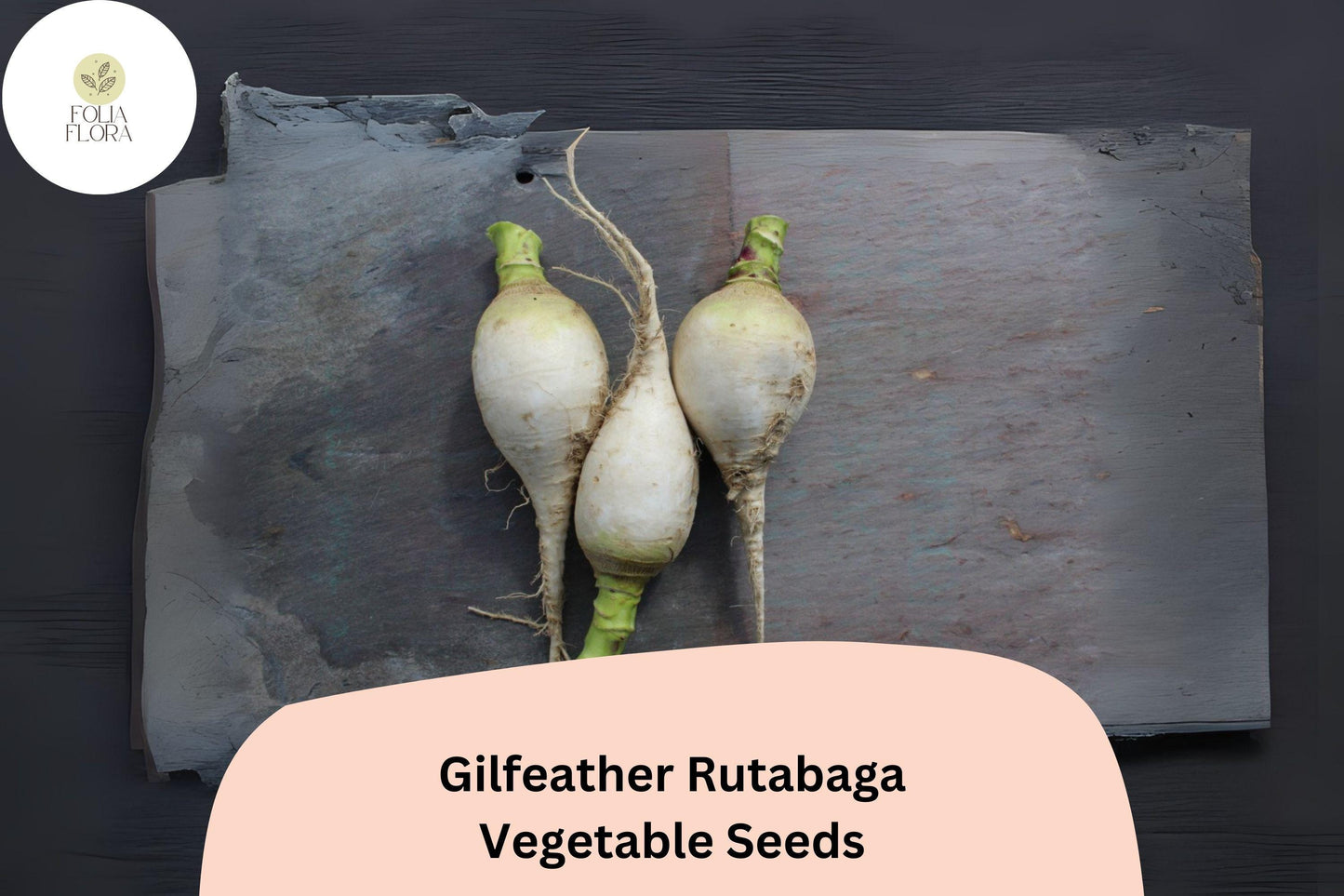 500+ Gilfeather Rutabaga Seeds – Heirloom Vermont Root Vegetable Seeds for Garden Planting