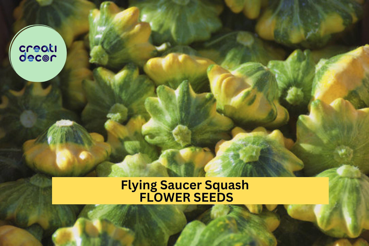 25+ Flying Saucer Squash Seeds – Uniquely Shaped Yellow & Green Pattypan Squash for Garden Planting, Edible Summer Variety – USA