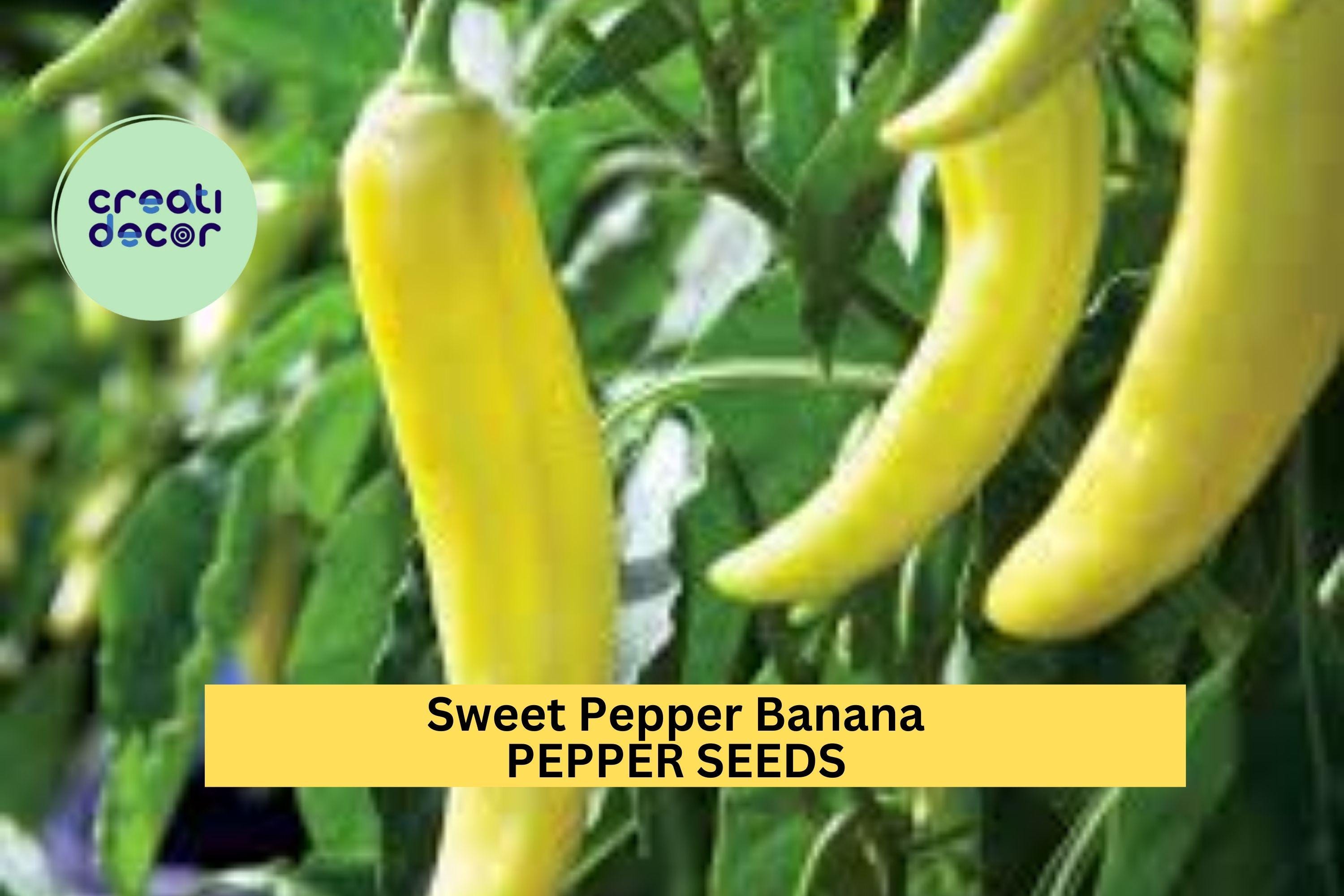 3pcs of 300mg Sweet Banana Pepper Seeds – Mild Yellow Peppers for Pickling, Cooking & Productive Home Garden Planting Seeds for Planting