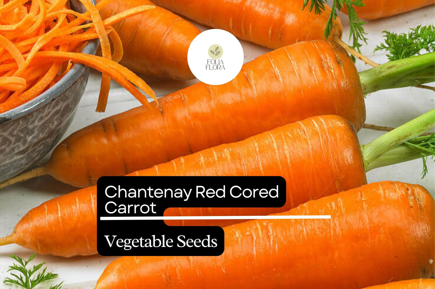 300 Seeds Red Cored Chantenay Carrot (Daucus carota) – Sweet, Crisp Heirloom Variety