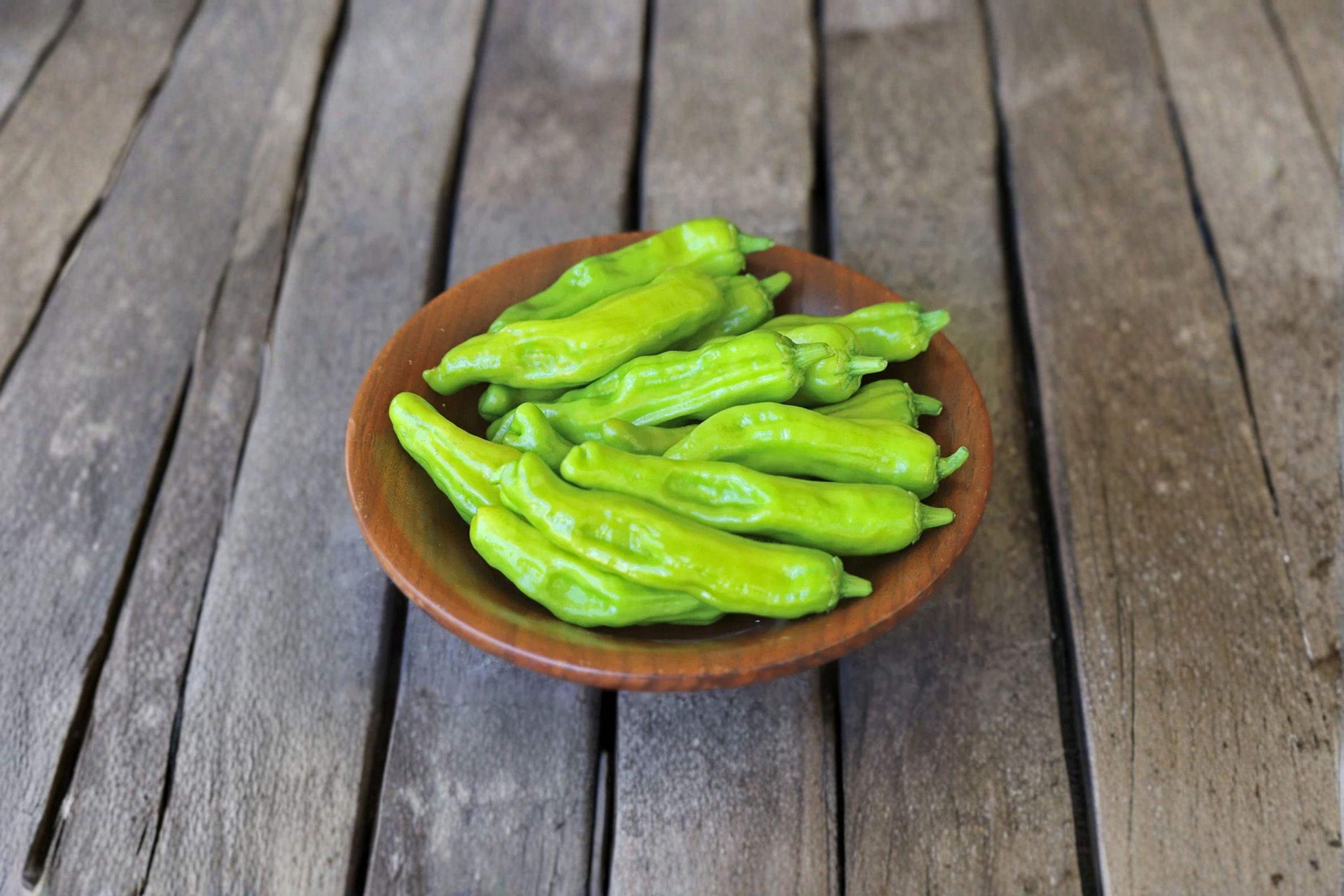 Shishito – Oriental Hot Pepper 25 Seeds | Japanese Pepper | Mild with Occasional Heat | Perfect for Blistering