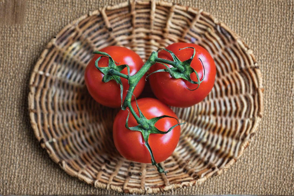 Tomato – Ace 55 30 Seeds | Heirloom Tomato | Low Acid | Smooth Red Fruits