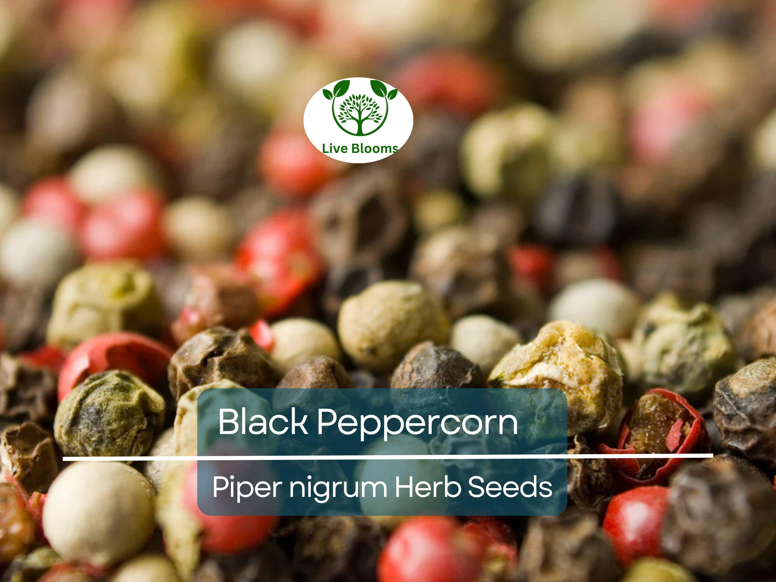 20 Black Peppercorn Seeds (Piper nigrum), Vine, Spice Plant, Fresh Peppercorns, Indoor Garden, Cooking Spice, Aromatic Herb, Garden Starter