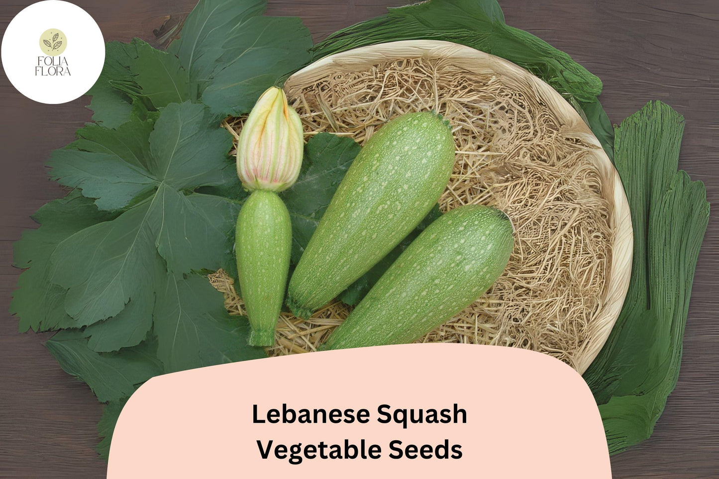 25+ Lebanese Squash Seeds for Planting | Cousa Summer Squash | Heirloom Middle Eastern Vegetable Garden Seeds