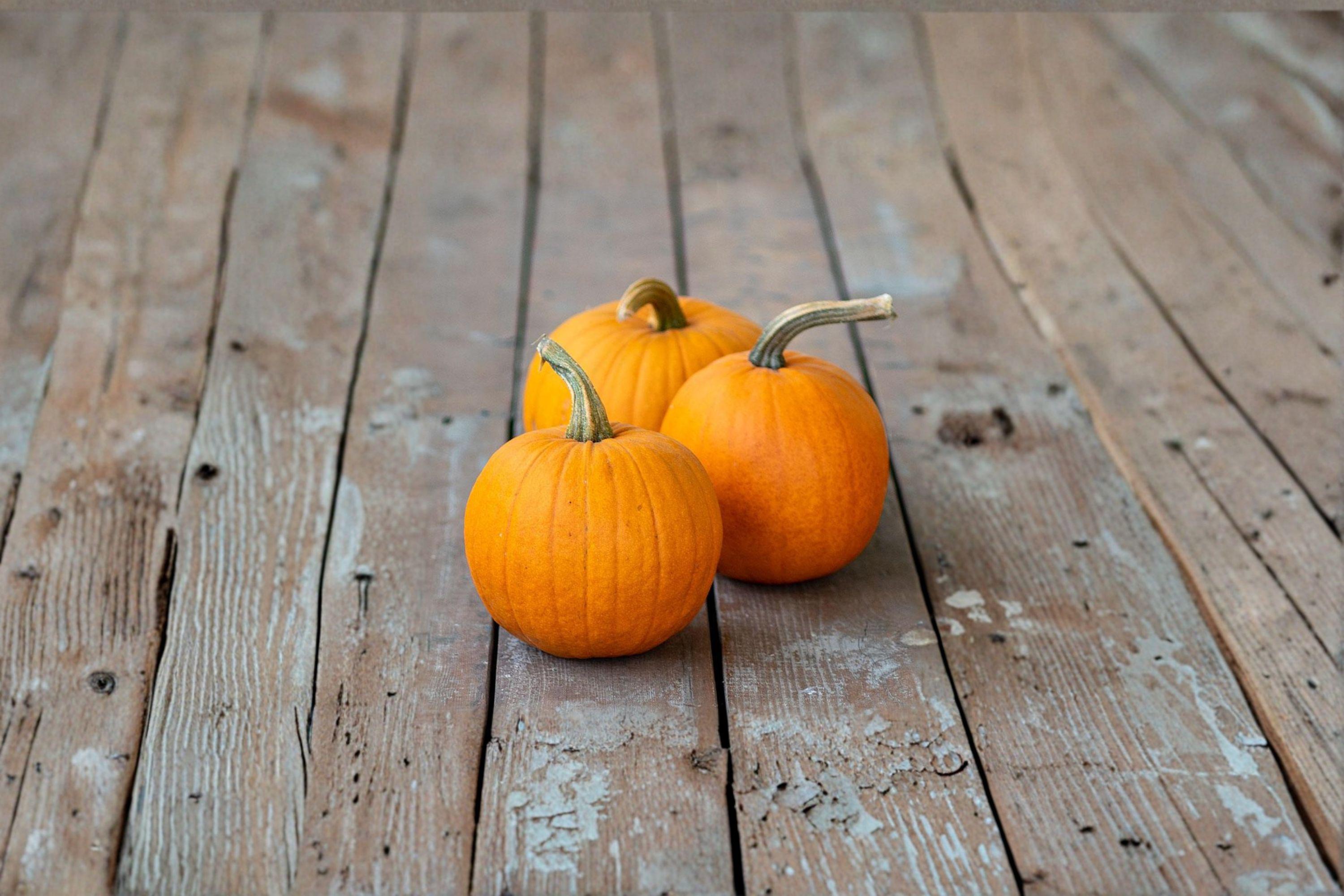 Small Sugar Pumpkin – Vegetable 5 Seeds | Classic Pie Pumpkin | Sweet Flesh | Perfect for Baking & Cooking
